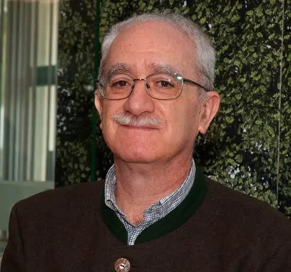 Manuel David Masseno